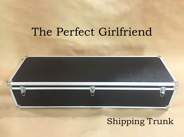 Storage Trunk - The Perfect Girlfriend - American Sex Doll - United States